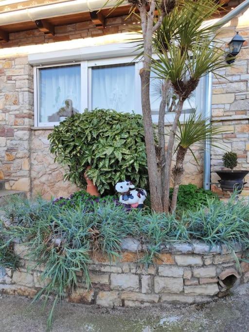 Apartment Istra Near Beach Rovigno Esterno foto
